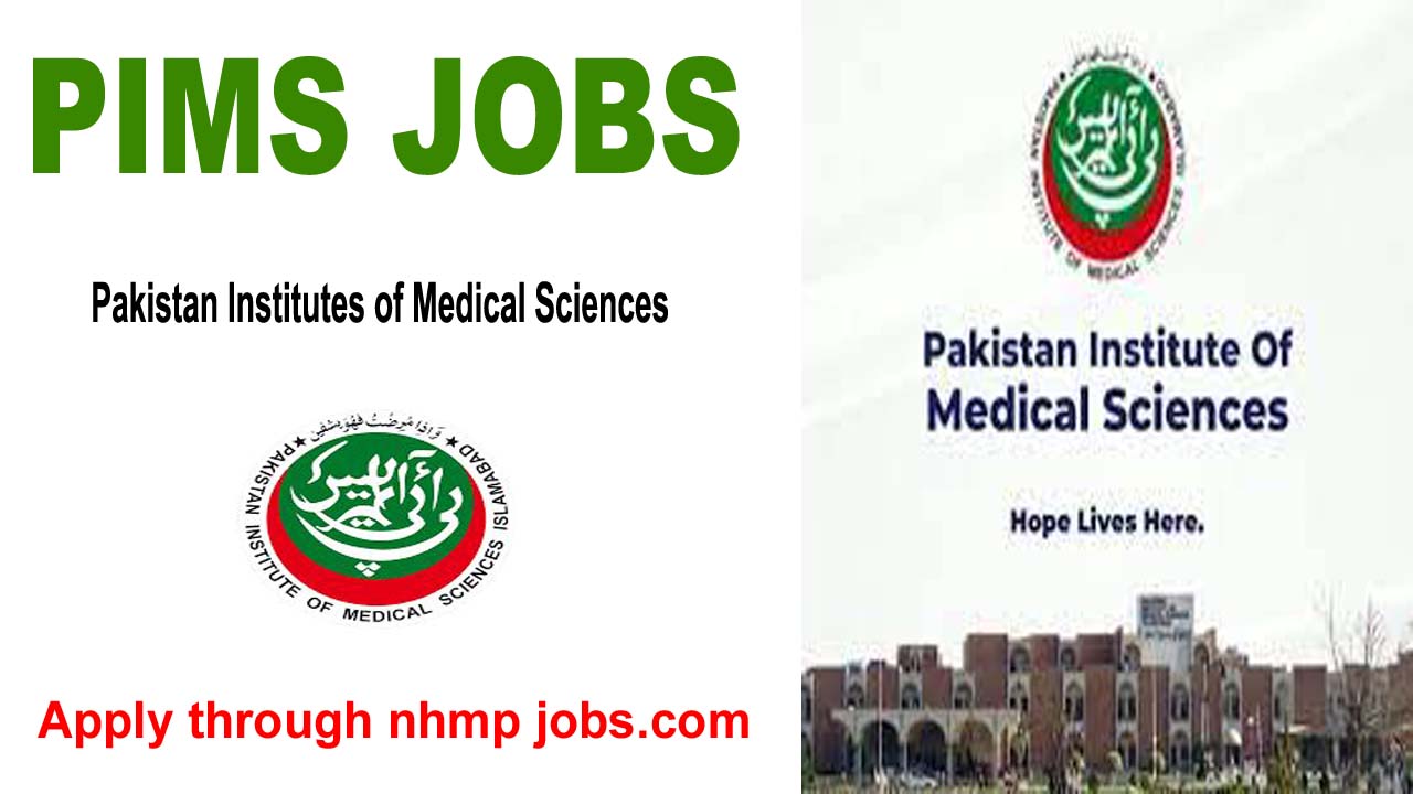 Latest PIMS Jobs 2024-569 vacancies Apply online